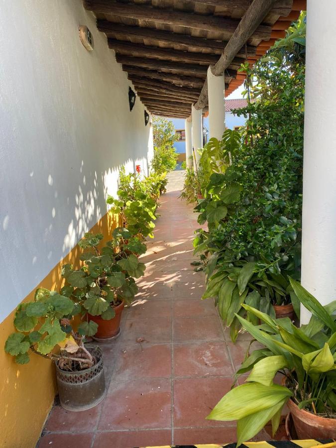 Casa De Sao Cucufate - Casa De Campo Vila de Frades Exterior foto